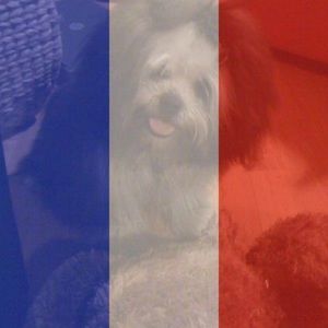 Meet your Posher, Brayden